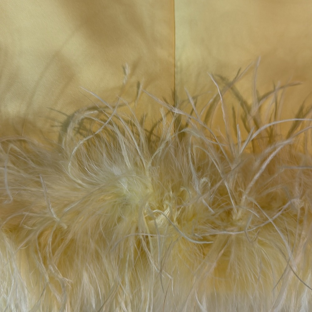 Yellow Feather Trim Sleeveless Top - Picture 5 of 5